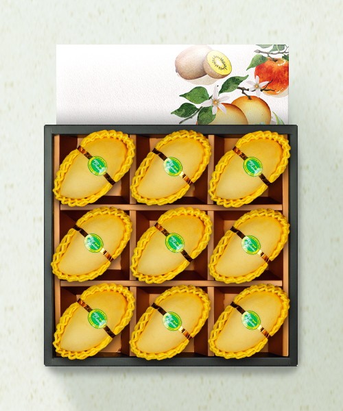 [품격있는] 프리미엄 골드망고 선물세트 2.8kg(9과)